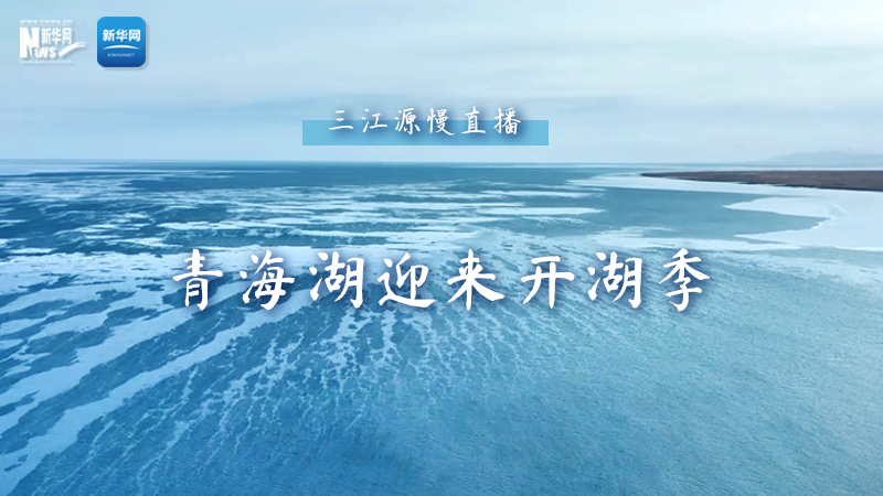 三江源慢直播——青海湖迎來開湖季