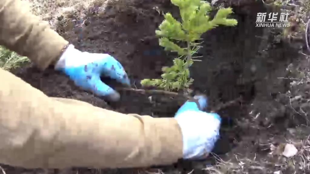 青?，斂珊恿謪^：加強生態保護，創新綠色發展新路徑